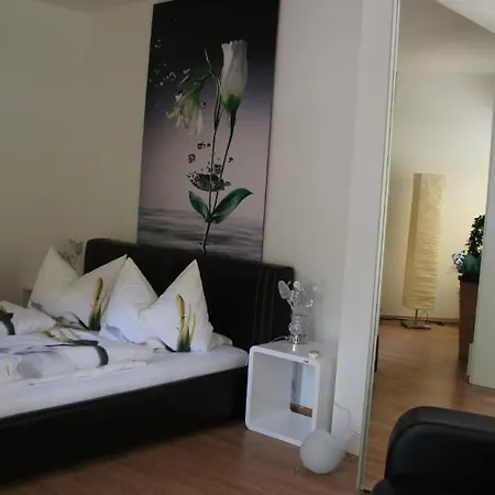 Park Ambiente Friedberg Guest house 3*